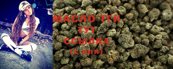 спиды Богданович