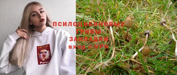 стаф Бугульма