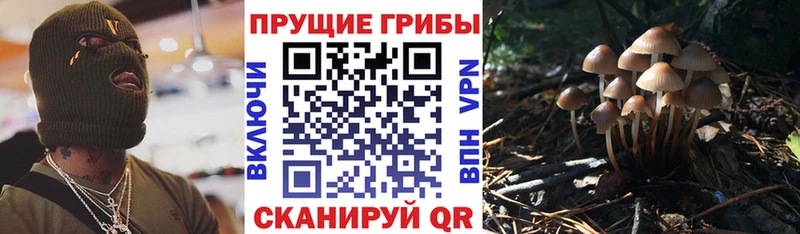 Галлюциногенные грибы прущие грибы  Купить  Беломорск 