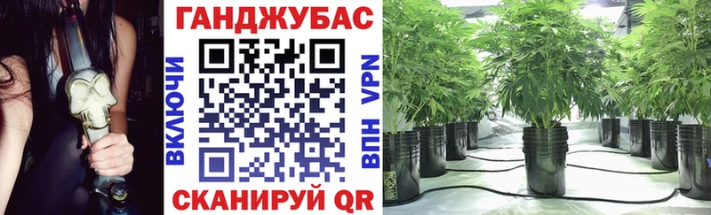 Купить  Беломорск  Марихуана SATIVA & INDICA 